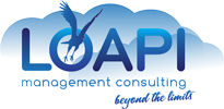 Loapi Management Consulting